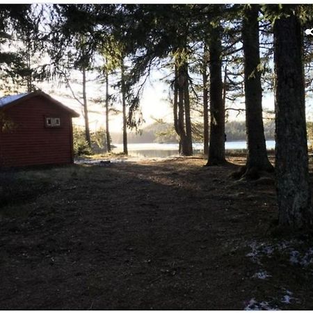 Cabin In The Woods, Lolandsvannet Near Kristiansand ヴェネスラ エクステリア 写真