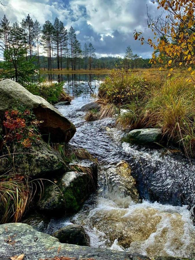 Cabin In The Woods, Lolandsvannet Near Kristiansand ヴェネスラ エクステリア 写真