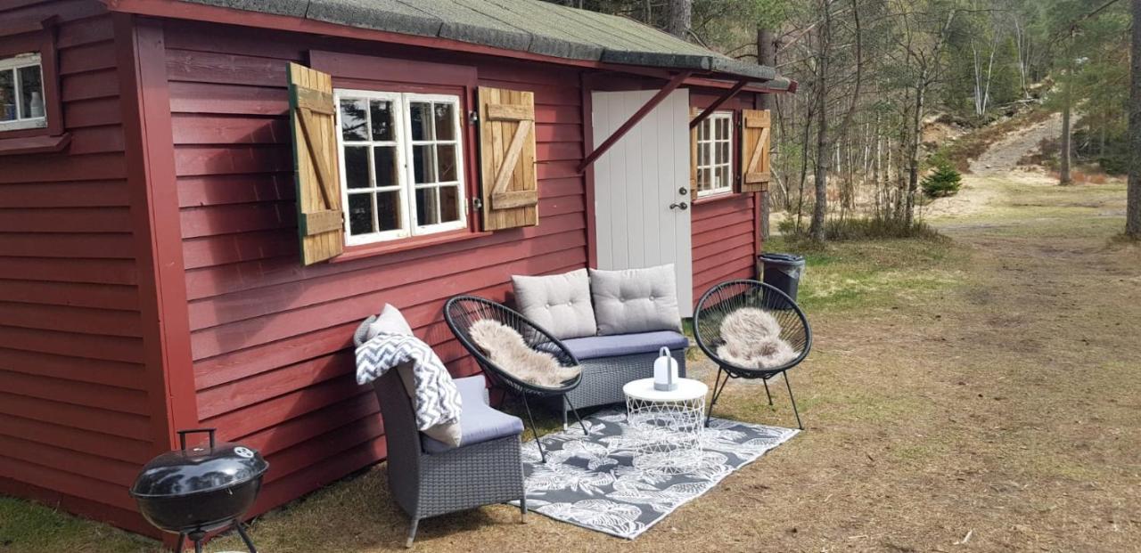 Cabin In The Woods, Lolandsvannet Near Kristiansand ヴェネスラ エクステリア 写真