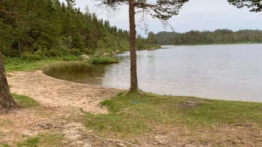 Cabin In The Woods, Lolandsvannet Near Kristiansand ヴェネスラ エクステリア 写真