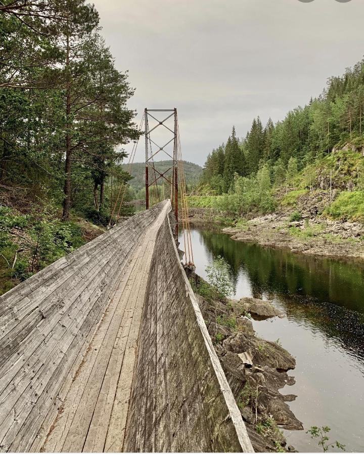Cabin In The Woods, Lolandsvannet Near Kristiansand ヴェネスラ エクステリア 写真
